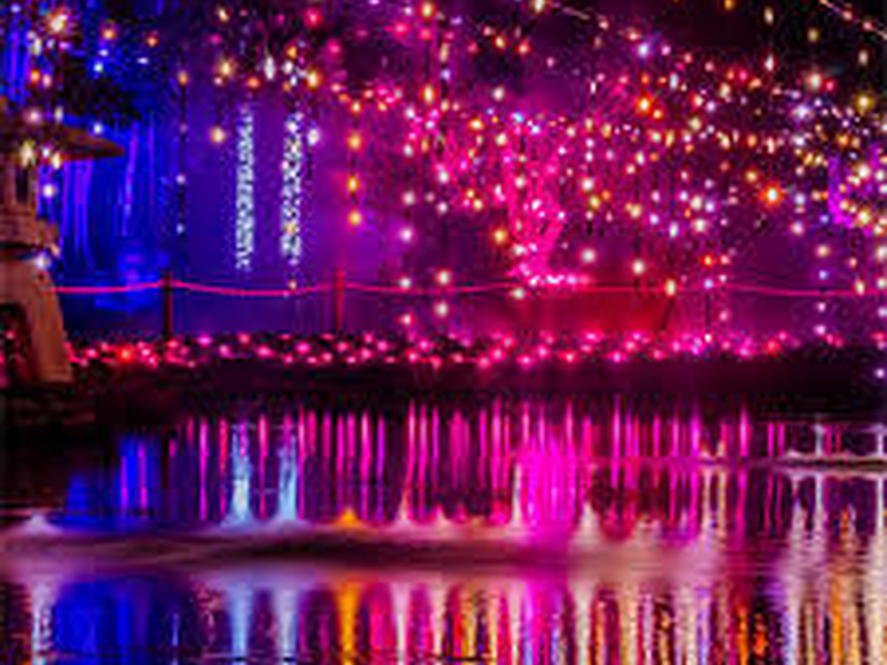 Lights